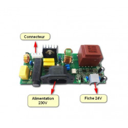 Carte électronique saphir