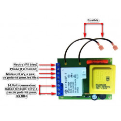 Carte électronique AENERA ( sans fusible )