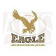 Moteur pour centrale d'aspiration Eagle Chaumière